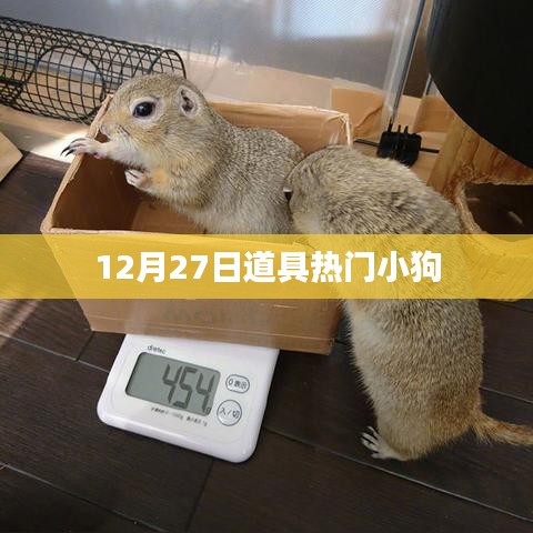 12月27日热门小狗道具盘点