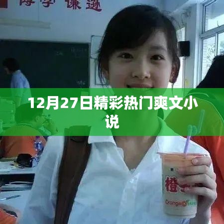 十二月二十七日必读热门爽文小说