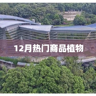 联系我们 第79页