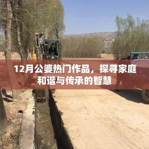 衣不兼彩 第3页