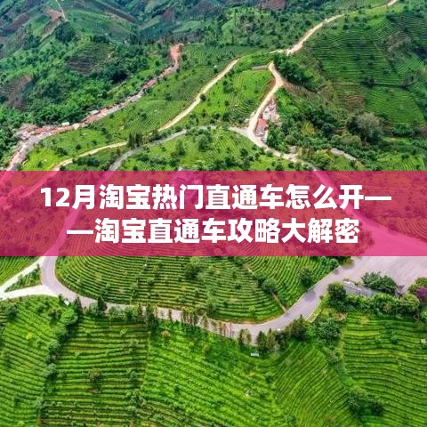 淘宝直通车攻略揭秘，如何玩转12月热门直通车