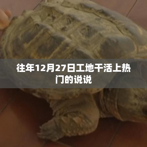 年末工地奋斗，12月27日的忙碌日常