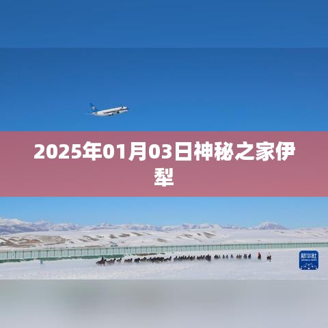 神秘之家伊犁，揭开未知之门的秘密