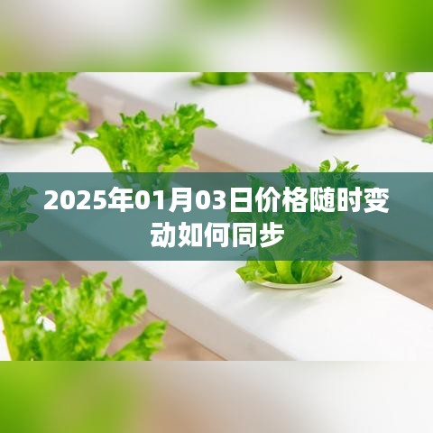2025年价格实时同步，如何应对每日波动