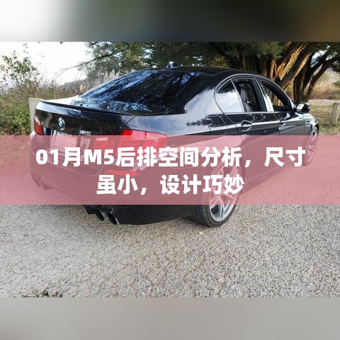 还朴反古 第3页