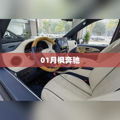 一月风华，奔驰风采展现