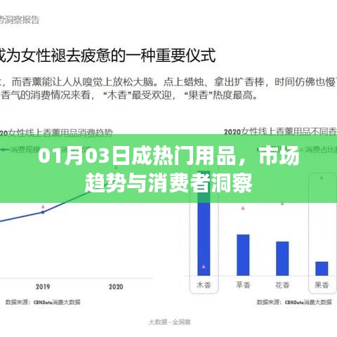 热门用品市场趋势解析，消费者洞察与行业动态（01月03日）