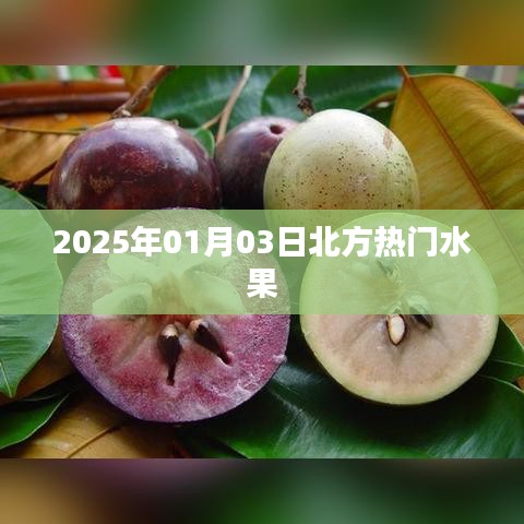 2025年北方热门水果市场概览，简洁明了，能够准确反映文章的核心内容。希望符合您的要求。