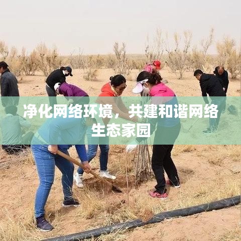 净化网络环境，共建和谐网络生态家园