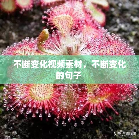 不断变化视频素材，不断变化的句子 