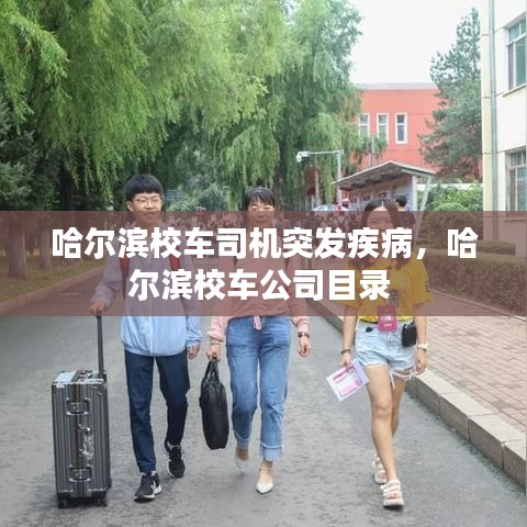 哈尔滨校车司机突发疾病，哈尔滨校车公司目录 