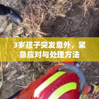 如花似玉 第2页