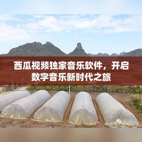西瓜视频独家音乐软件，开启数字音乐新时代之旅