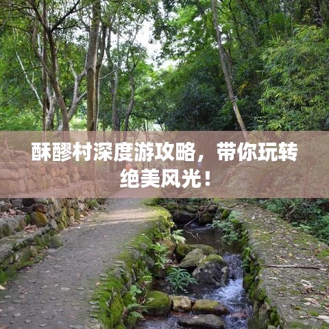 酥醪村深度游攻略，带你玩转绝美风光！
