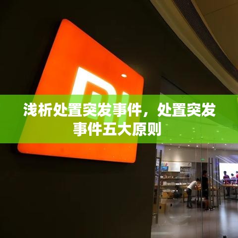 处置突发事件的五大原则详解