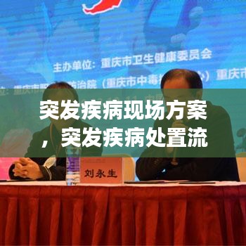 突发疾病现场方案，突发疾病处置流程 