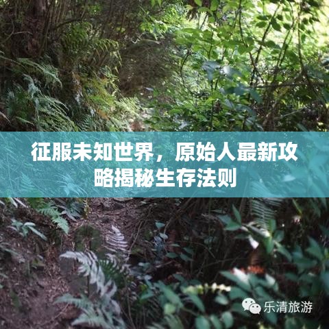 雍容雅步 第2页