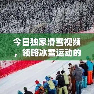 今日独家滑雪视频，领略冰雪运动的极致魅力！