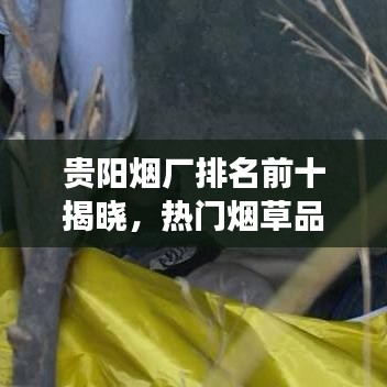 贵阳烟厂排名前十揭晓，热门烟草品牌榜单重磅出炉！
