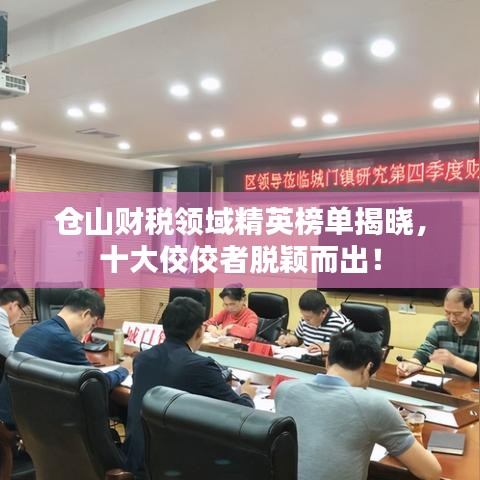 仓山财税领域精英榜单揭晓，十大佼佼者脱颖而出！