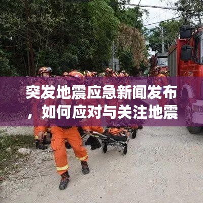 突发地震应急新闻发布，如何应对与关注地震灾害的最新动态