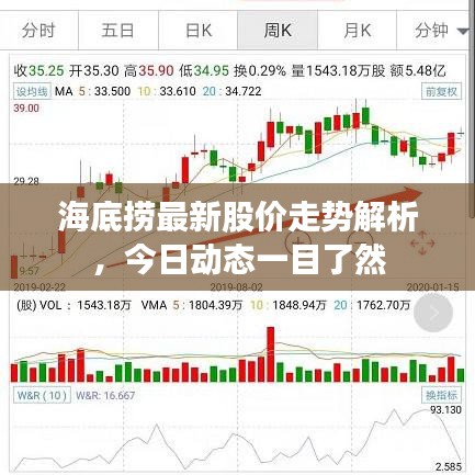 海底捞最新股价走势解析，今日动态一目了然