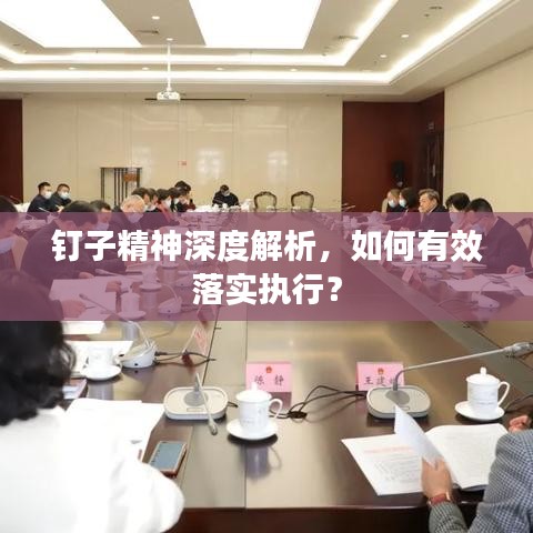 钉子精神深度解析，如何有效落实执行？