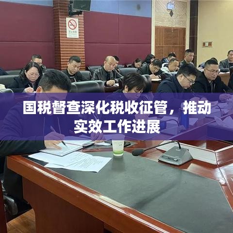 国税督查深化税收征管，推动实效工作进展