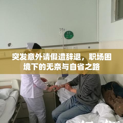 突发意外请假遭辞退，职场困境下的无奈与自省之路