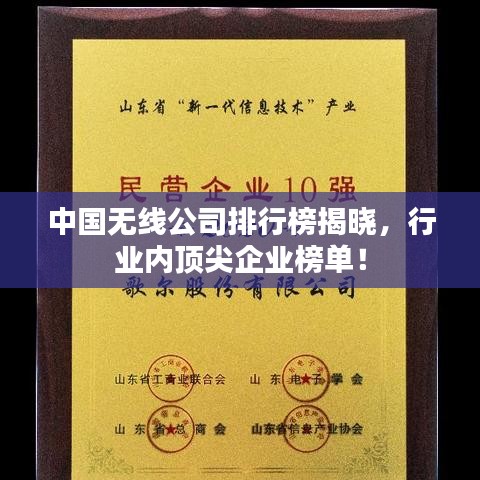 中国无线公司排行榜揭晓，行业内顶尖企业榜单！