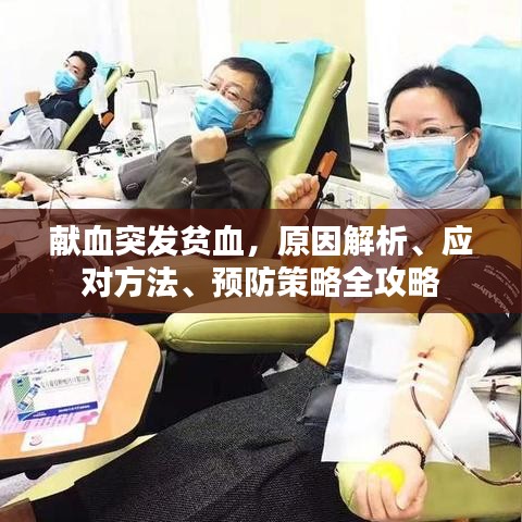 献血突发贫血，原因解析、应对方法、预防策略全攻略