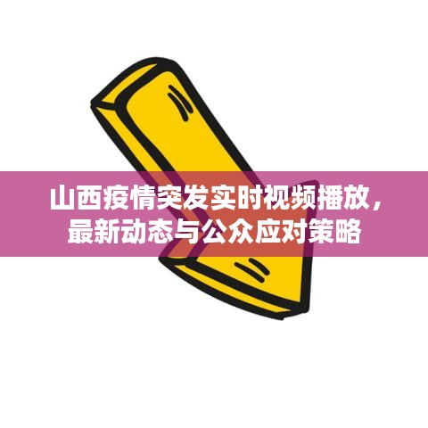 山西疫情突发实时视频播放，最新动态与公众应对策略