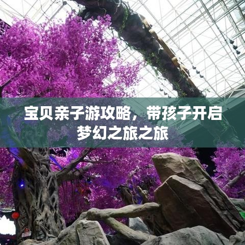 宝贝亲子游攻略，带孩子开启梦幻之旅之旅