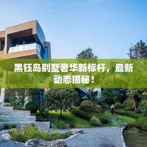 光明磊落 第2页