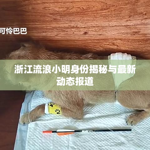 侃侃而谈 第2页