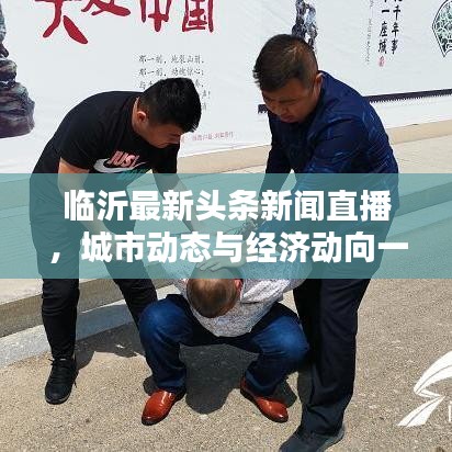 鸢飞鱼跃 第2页