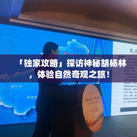 「独家攻略」探访神秘胡杨林，体验自然奇观之旅！