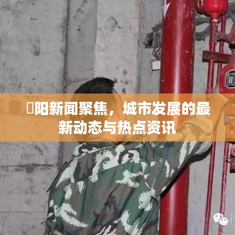 灈阳新闻聚焦，城市发展的最新动态与热点资讯