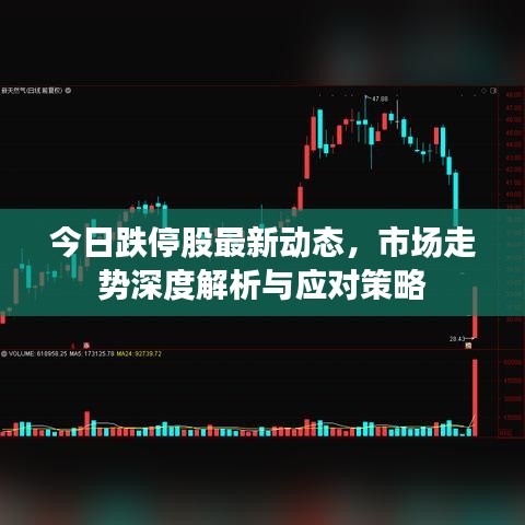 今日跌停股最新动态，市场走势深度解析与应对策略