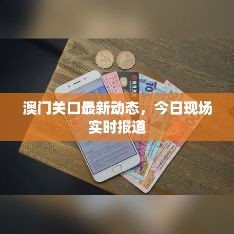 澳门关口最新动态，今日现场实时报道
