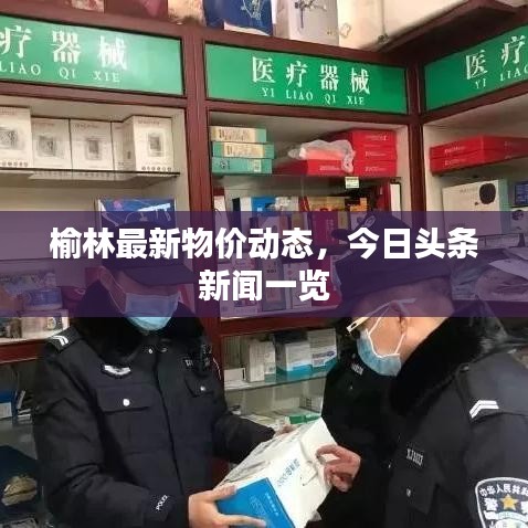 榆林最新物价动态，今日头条新闻一览
