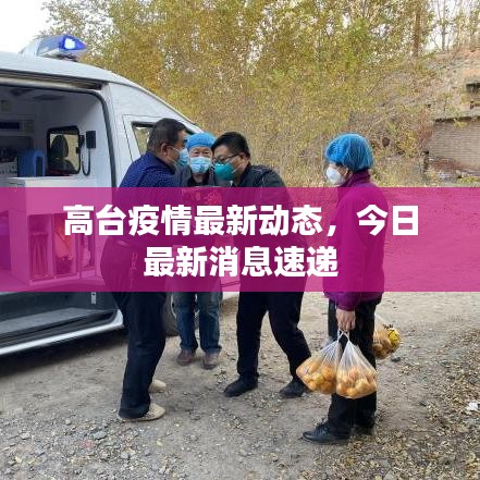 高台疫情最新动态，今日最新消息速递