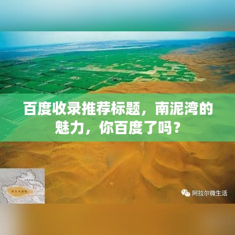 百度收录推荐标题，南泥湾的魅力，你百度了吗？