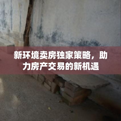 新环境卖房独家策略，助力房产交易的新机遇