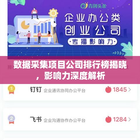 数据采集项目公司排行榜揭晓，影响力深度解析