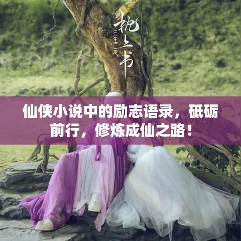 仙侠小说中的励志语录，砥砺前行，修炼成仙之路！