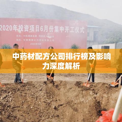 中药材配方公司排行榜及影响力深度解析