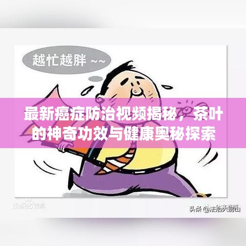 联系我们 第34页