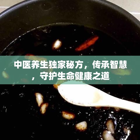中医养生独家秘方，传承智慧，守护生命健康之道
