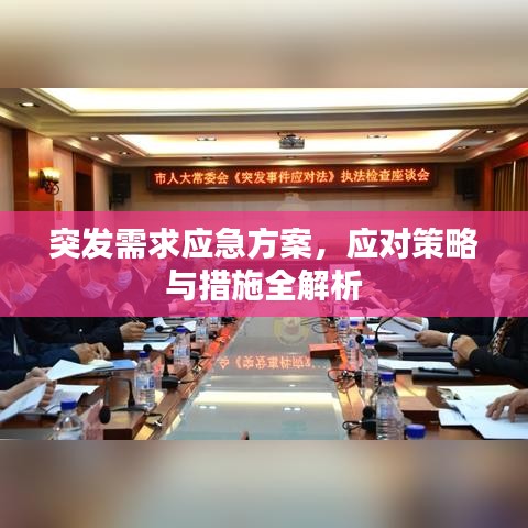 突发需求应急方案，应对策略与措施全解析